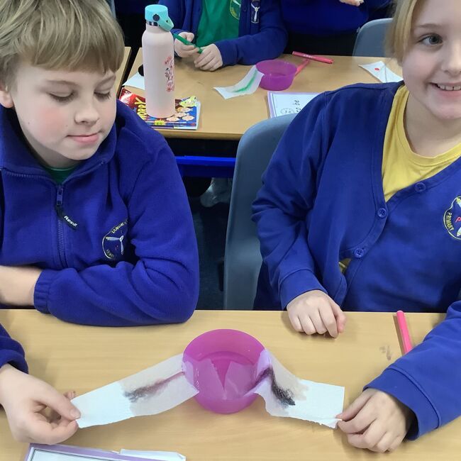 Science Week 2025