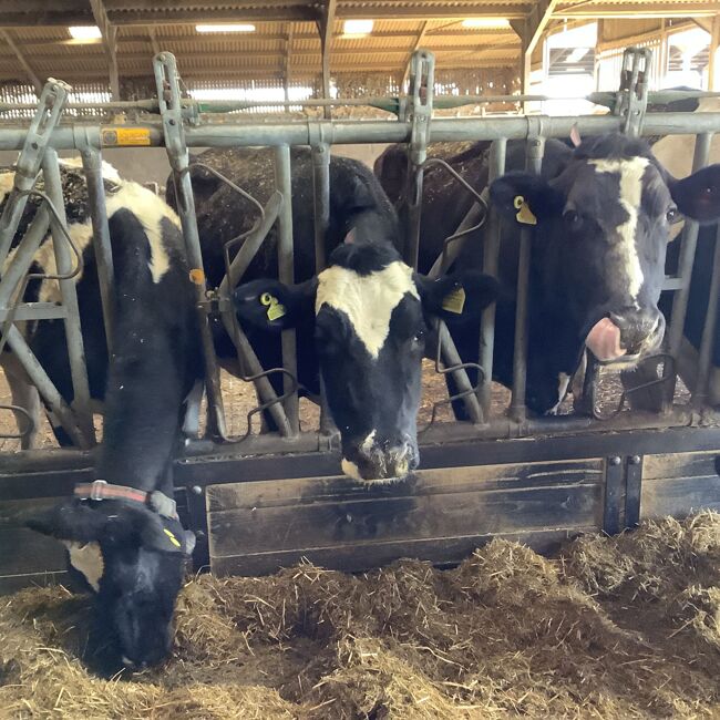 Goodwood Education Trust Visit