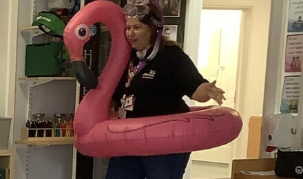 IMG 1238