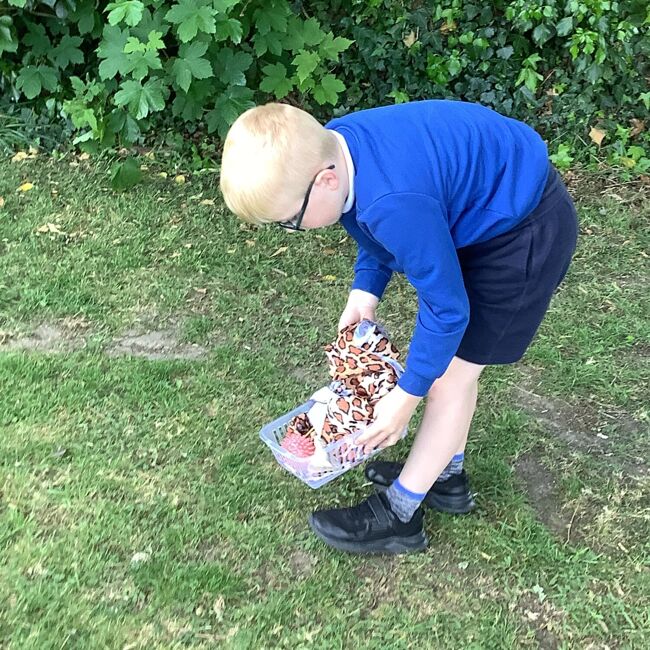 Meteor class stone age session