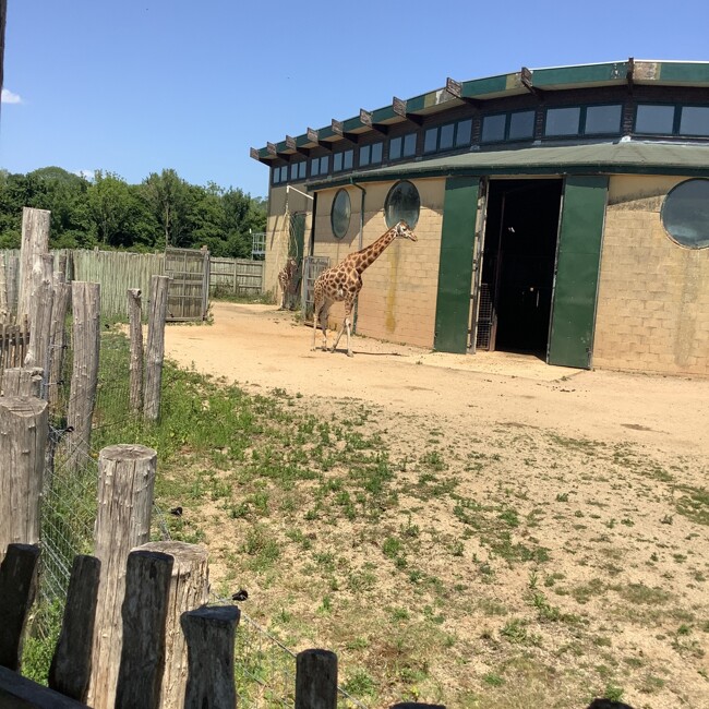 Hunter Class trip to Marwell Zoo