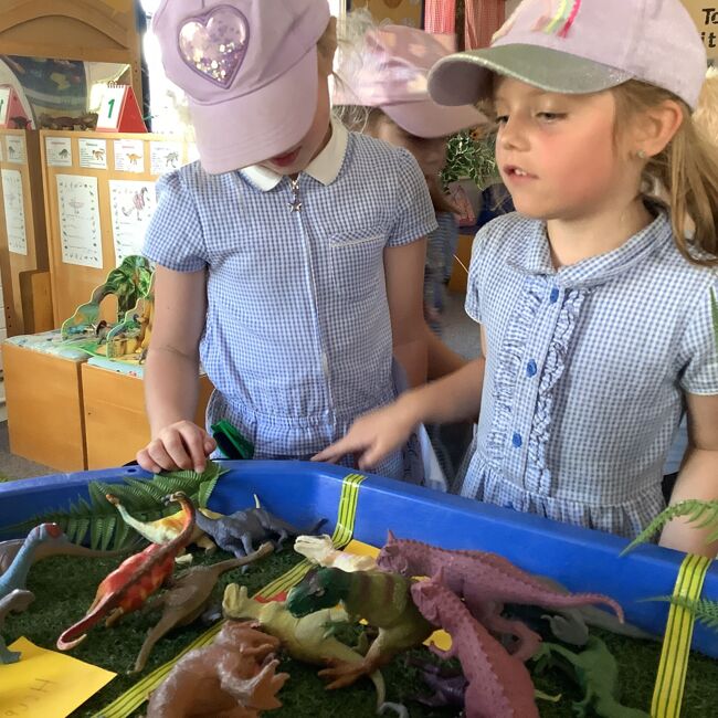Sunflower Class - Dinosaur museum role play area